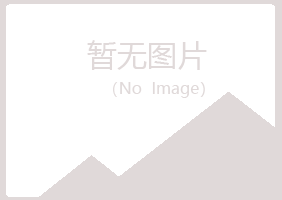 河池慕青保险有限公司